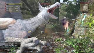 【検証】DDON シーズン2 撤退命令が出ても戦い続けるとどうなるのか？ ホワイトグリフィン