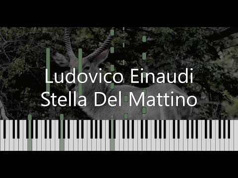 Ludovico Einaudi - Stella Del Mattino