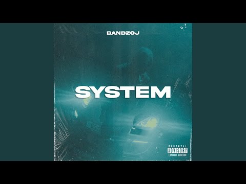 System