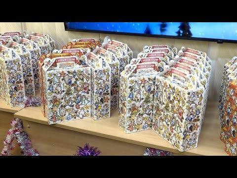 ЁЛКА ДОБРА И ТЕПЛА | Новости Камчатки | Масс Медиа