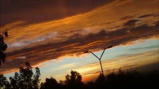 Pat Metheny (Antonia)   パット・メセニー（アントニア）