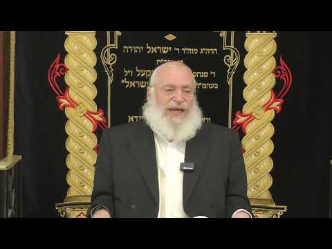 Kriyas Shema al Hamita | Weekly Shiur by Rav Asher Weiss Shlit"a (Balak 5786)