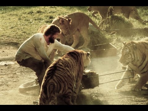 download lagu mp3 mp4 Movie Family Living With Lions, download lagu Movie Family Living With Lions gratis, unduh video klip Movie Family Living With Lions