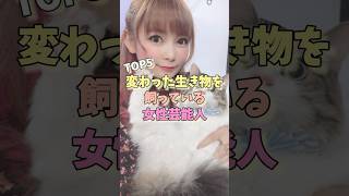 変わった生き物を飼っている女性芸能人TOP5 #伊原六花 #橋迫鈴 #新垣結衣