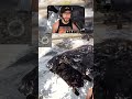 Epic Car Fail Leaves Me Speechless