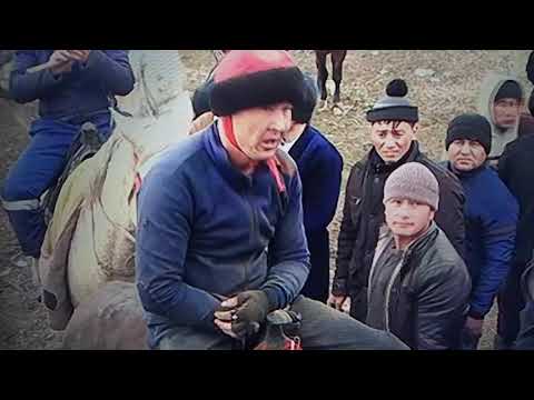 Ургут купкари 17 02 2019 шоназар купкариси кобил палвон.