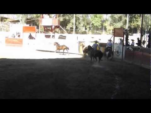 206 PASO DE LA MUERTE POR EL FAMOSO CHIRINGAS DE 3 POTRILLOS