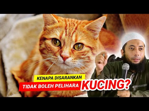 , title : 'KENAPA DISARANKAN TIDAK BOLEH PELIHARA KUCING ?? - Ustadz Dr Khalid Basalamah'