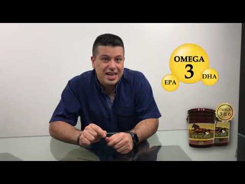 Beneficios de los Omega 3 que contiene EQUIGRAS para tus Equinos