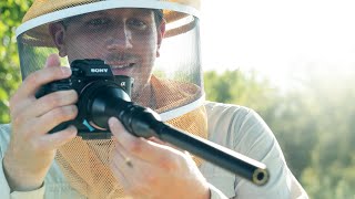 FILMING Bees with the Laowa 24mm PROBE!