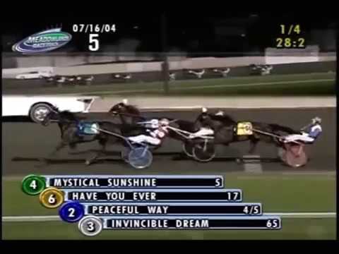 2004 Meadowlands PEACEFUL WAY Del Miller Memorial Final $325,000 John Campbell