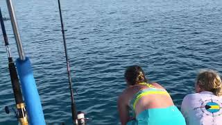 preview picture of video 'Watching Dolphins in Bimini - JetBoaters.net 2018 Bimini Fling'