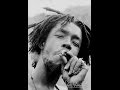 Peter Tosh - Why Must I Cry