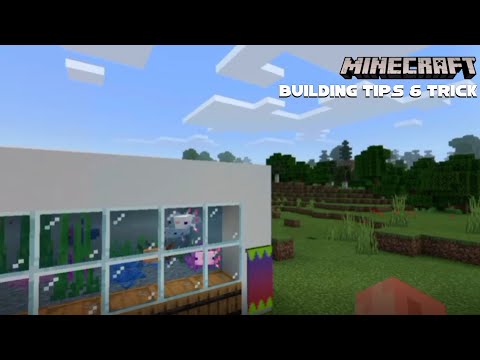 , title : 'Minecraft Building Tips Aquarium'