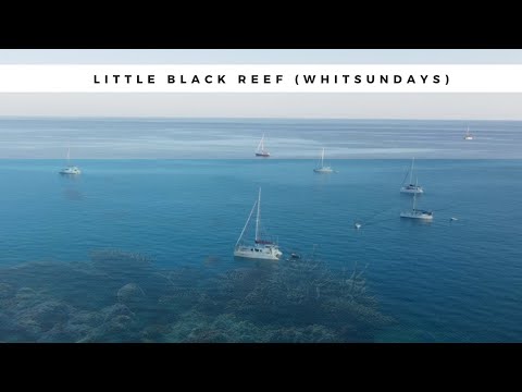 Reef hopping the Great Barrier Reef continues - Little Black Reef (Sailing Amoray) Ep.19