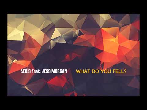 Aeris feat. Jess Morgan - What Do You Feel? (Re:Locate vs. Robert Nickson Banging Dub)