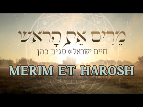 Merim Et Harosh - Haim Israel & Sagiv Cohen מרים את הראש - חיים ישראל וסגיב כהן