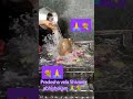 Lord Shiva Abhishekam Pradosha Abhishekam