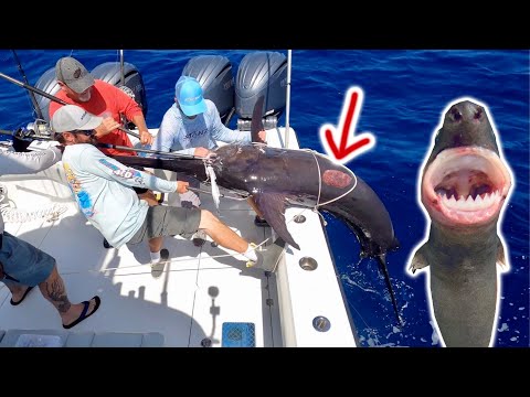 CookieCutter Shark attacked Massive ⚔️ Swordfish ⚔️ Catch and Cook