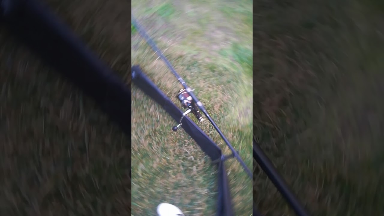 fox warrior s 12 pies 3.5 lbs