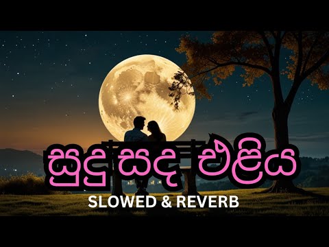 Sudu Sanda Eliya Dothak Aran | සුදු සද එලිය දොතක් අරන් | Chamara Weerasinghe Song | Slowed & Reverb