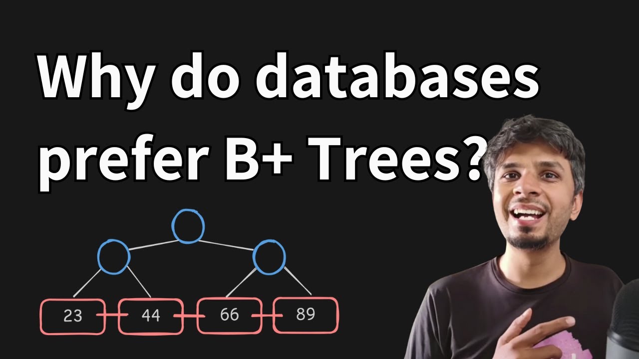 Why do databases store data in B+ trees?