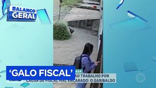 A rooster prevents a resident from leaving for work in São Paulo, and the case goes viral on soci...