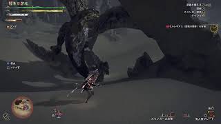 【MHWs】今日も今日とて神おま