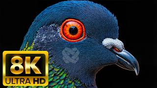 🌍 ANIMAL WORLD IN 8K ULTRA HD – Epic Wildlife Like Never Before (60FPS)