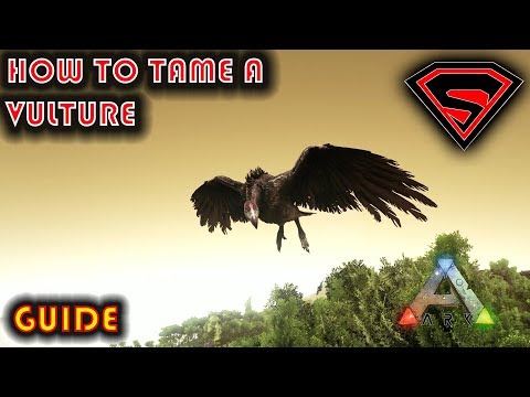 ARK HOW TO TAME A VULTURE - THE BEST WAY TO TAME A VULTURE IN ARK 2019