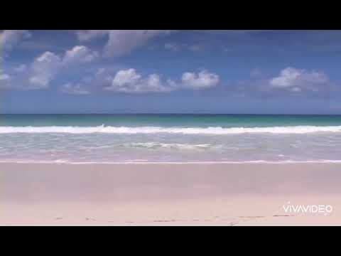 B-Technique - Ride The Wave