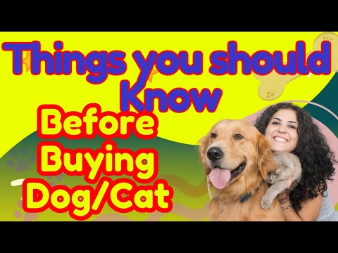 Things You Should Know, Before Buying a Dog or Cat