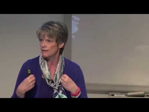 2015 Tomorrow's Leaders Equipped for Diversity presentation with Vicki Panhuise