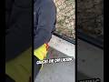 CAUGHT OPP LACKING ️ Shorts Youtubeshorts Viral