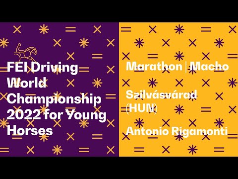 Macho | Marathon 5-year-old horses - FEI Driving World Championship 2022 for Young Horses