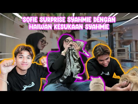 SYAHMIE TERHARU DAPAT KEJUTAN KUCING BARU DARI SOFIE??? SHIP SYAFIE ADA KISAH NGERI BERSAMA KUCING!!