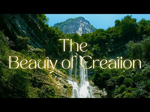 The Majesty of God's Creation | Bible Study | KJV |