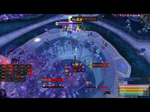 Heroic High Botanist Tel'arn (Shadow Priest POV)