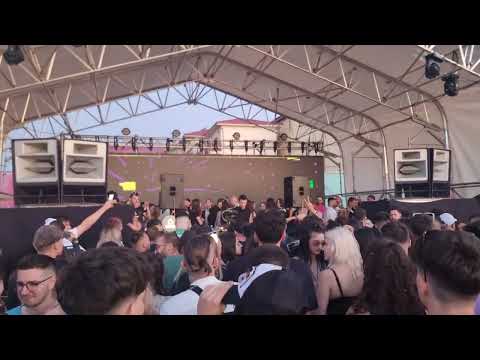 Priku Mornin' (picnicfonic2023)