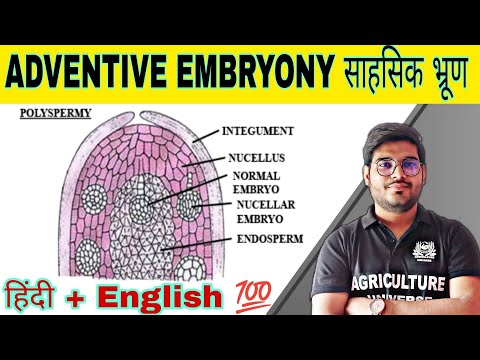 defination allopolyploid allopolyploid kya hai allopolyploid in hindi what is allopolyploid