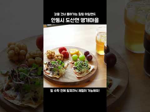 2025 안동 관광 숏폼 공모전 입선 미리보기 사진