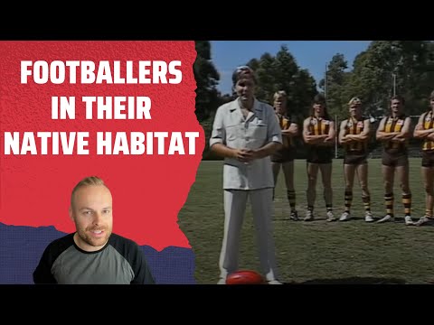 Rob Reacts to... The Comedy Company - David Rabbitborough - Footballers