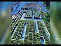 Mukesh Ambani House Short Video Whatsapp Status Nita Ambani