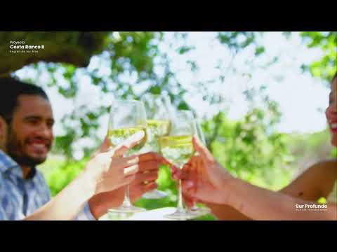 Costa Ranco II: Tu Parcela en Lago Ranco al Mejor Precio