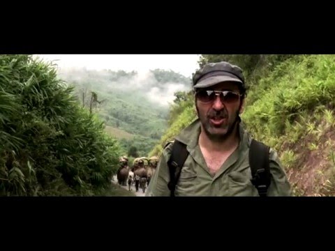 Jo Dahan - Enfants d'salaud