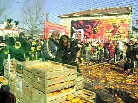 aranceri pantera nera 2011