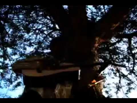 ሰራመድ በሞት ጎዳና 1996  SERAMED BE MOT GODANA 2006