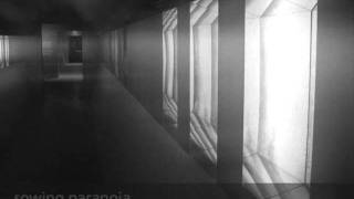 Sowing Paranoia - Estacion de transito. (Dub techno)