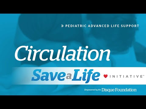 4d3: Circulation (2025)