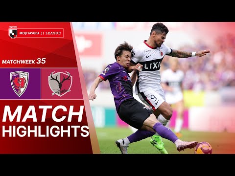 bg-highlight